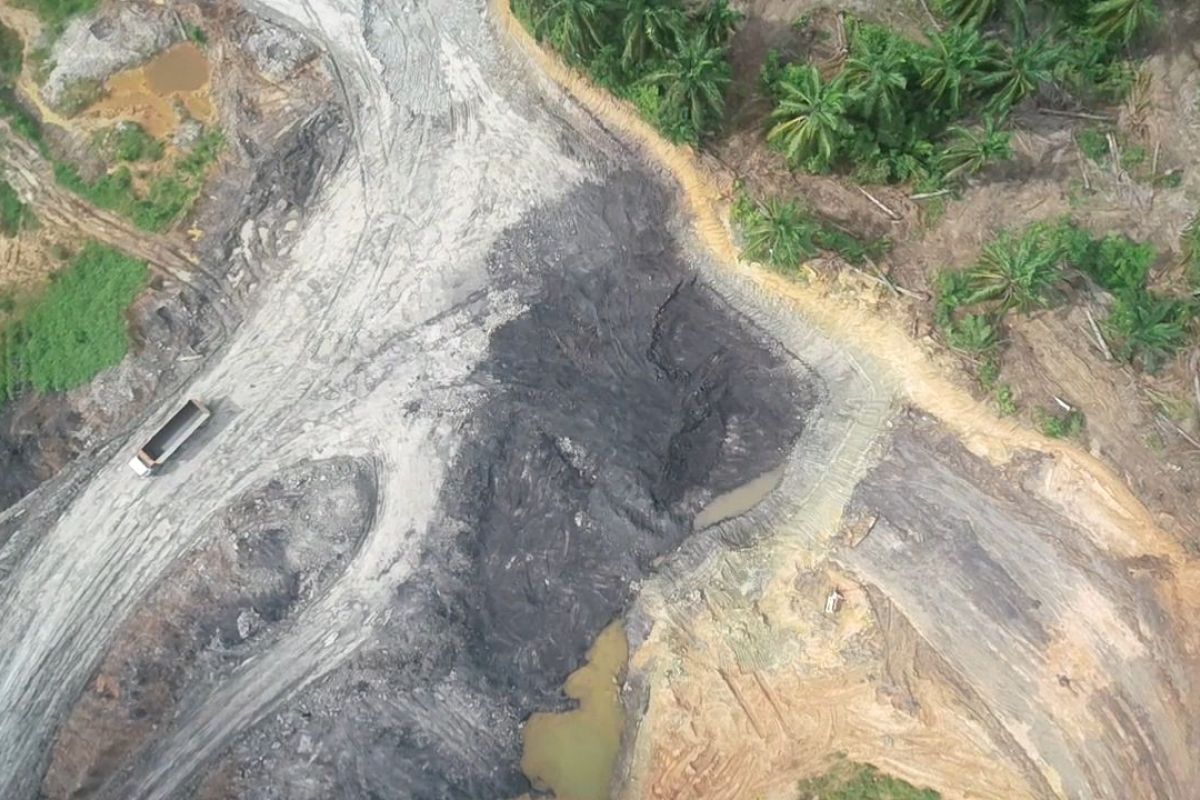 Kemenhut tangkap empat penambang batu bara ilegal di cagar alam Kaltim