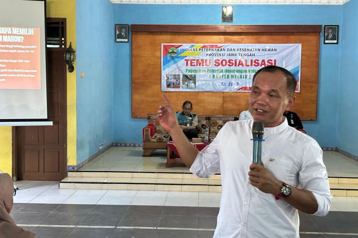 Sumanto dorong pemerintah garap peningkatan daya saing produk pangan