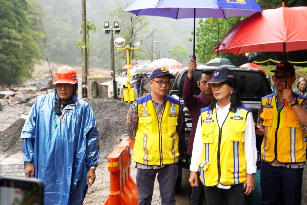 Wamen PU : Perketat penataan ruang di Mega Mendung-Lembah Anai