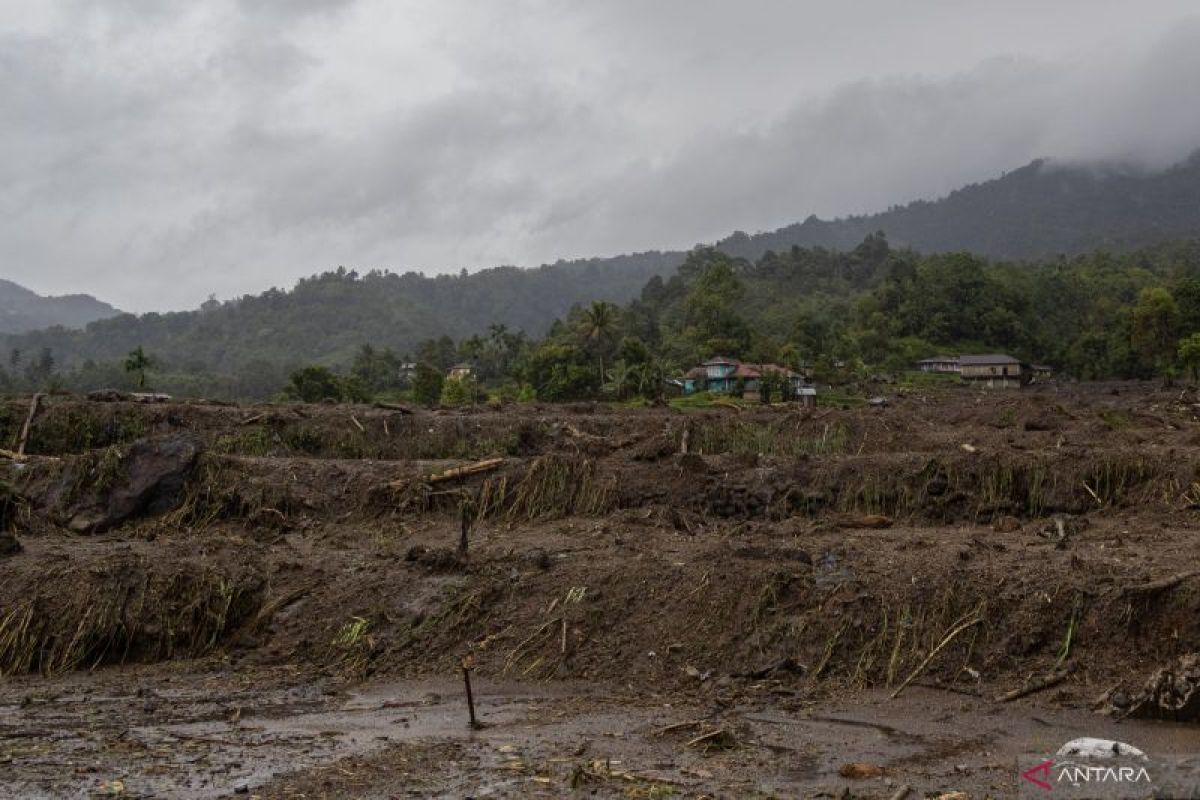 Pemprov Sumbar catat 1.341 ha sawah alami puso akibat bencana