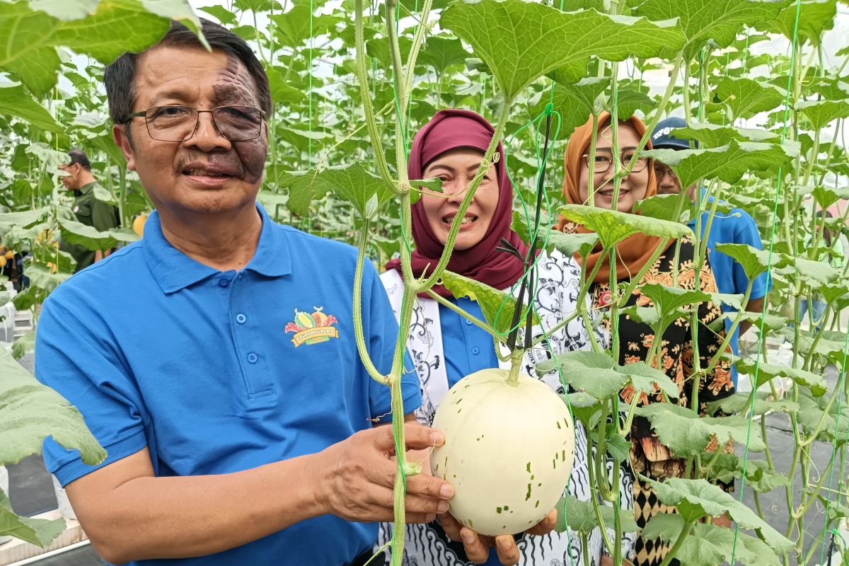 Upgris Semarang panen melon persiapan buka edupark