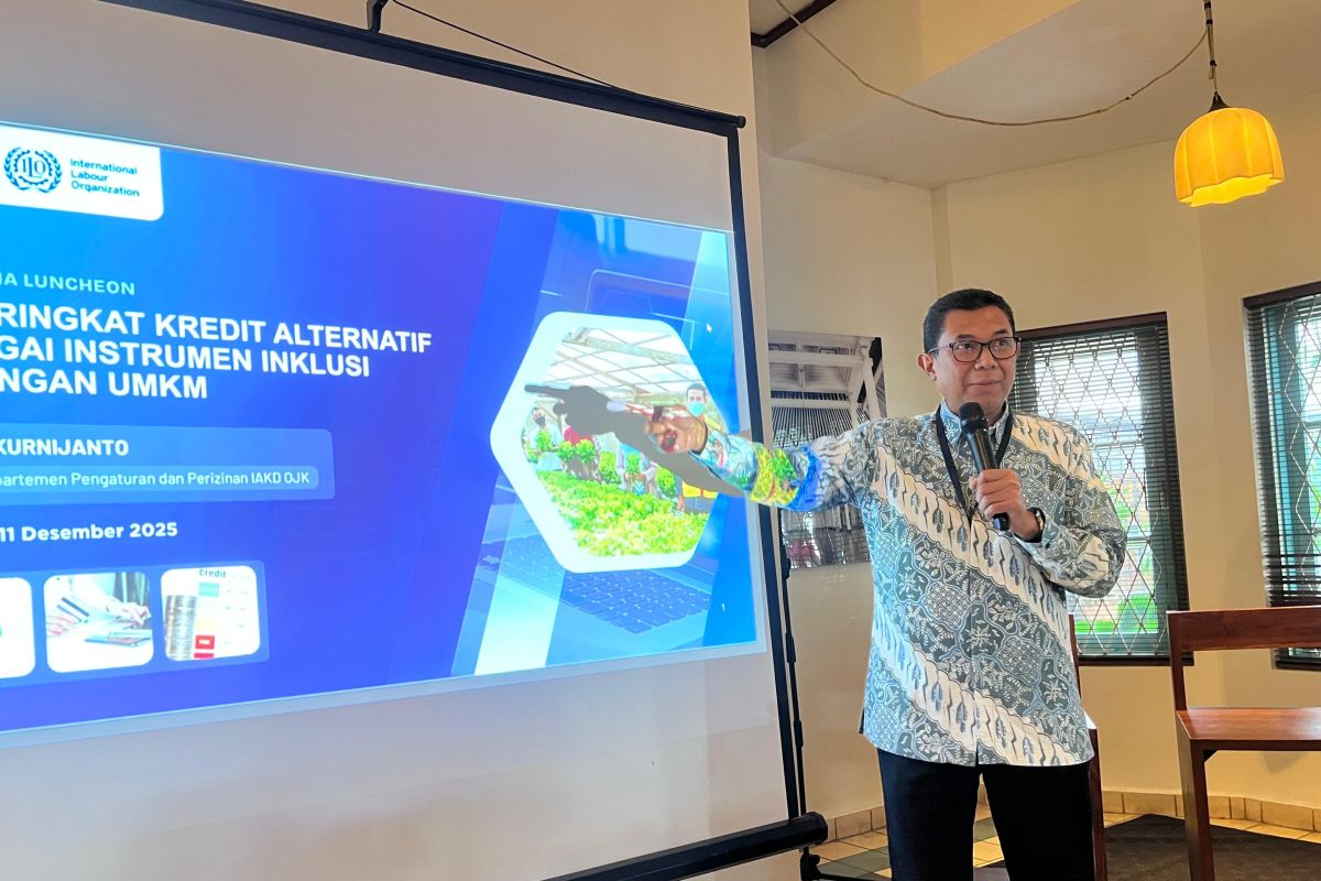 OJK ungkap dua alasan UMKM sulit peroleh akses pembiayaan