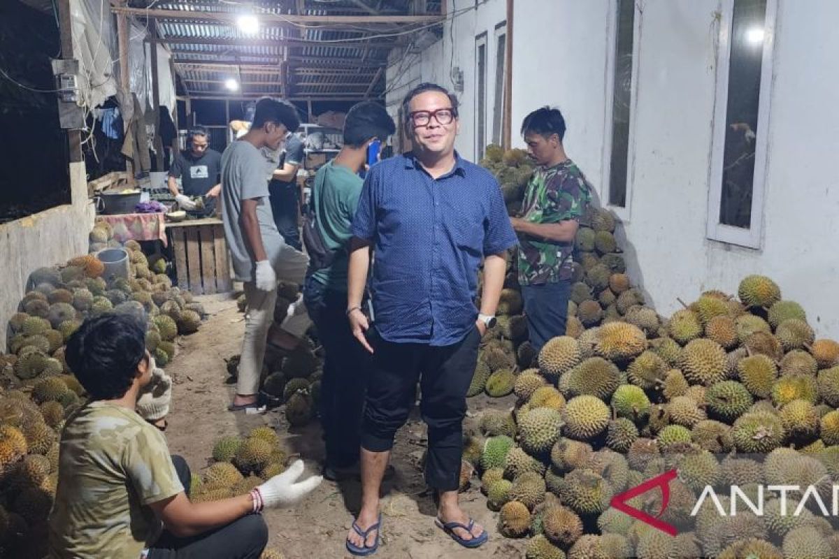 Binafshi Durian, Budidaya durian asli Payakumbuh