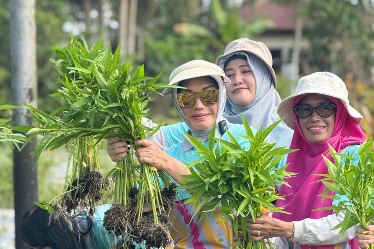 PKK Pontianak ajak manfaatkan pekarangan dengan galakkan tanaman hortikultura