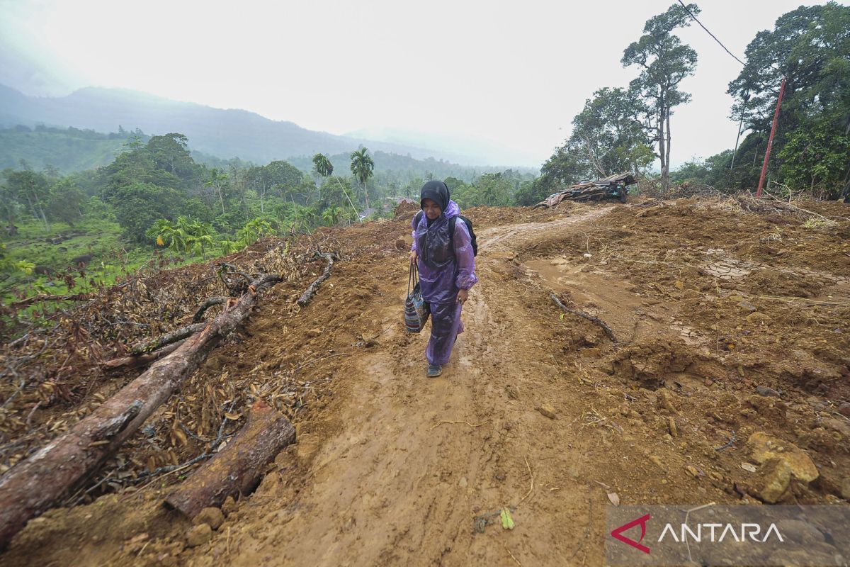 Banjir Sumatera, kebun sawit, dan ambisi biofuel