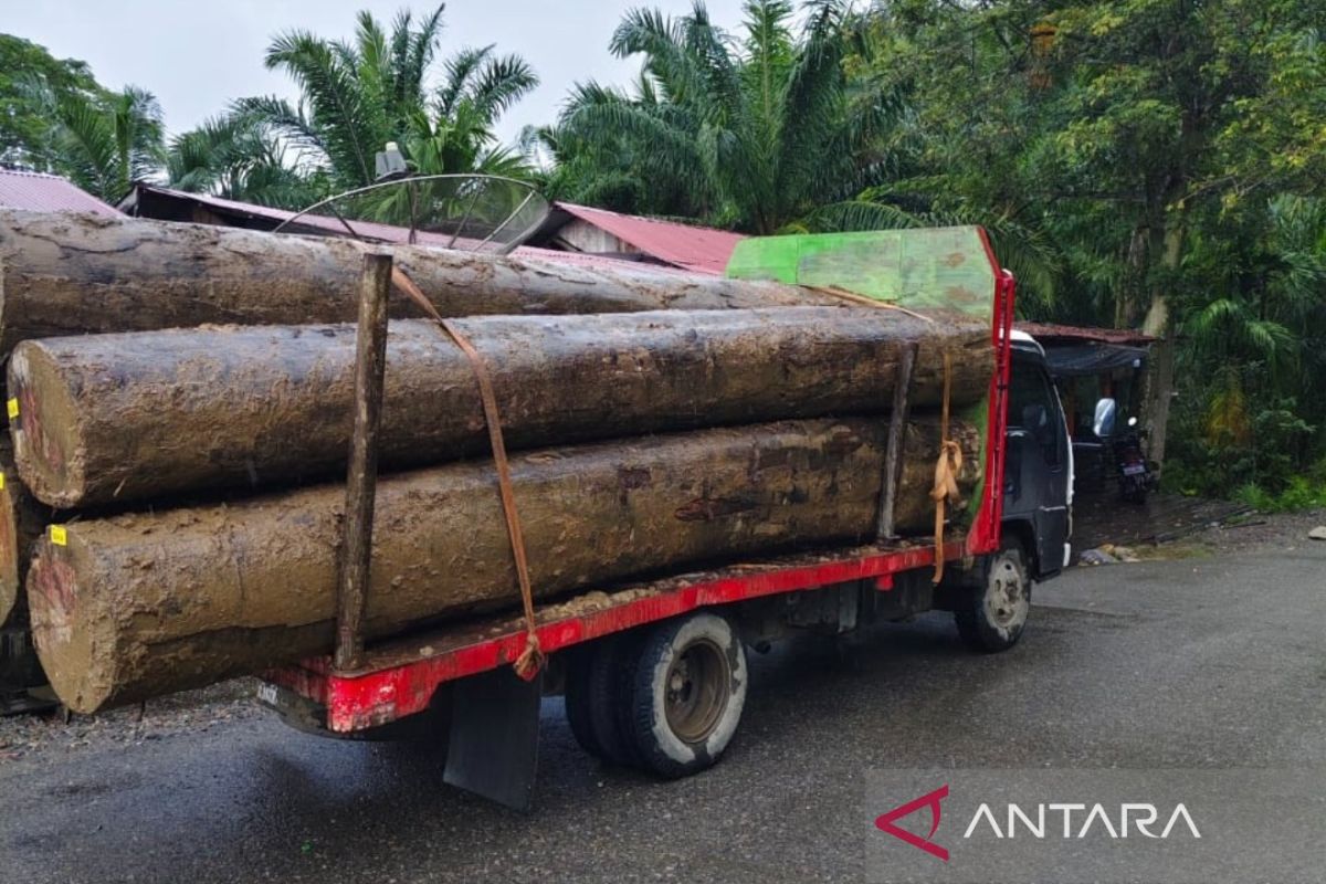 LSM minta polisi usut pengiriman kayu di Aceh Barat saat bencana