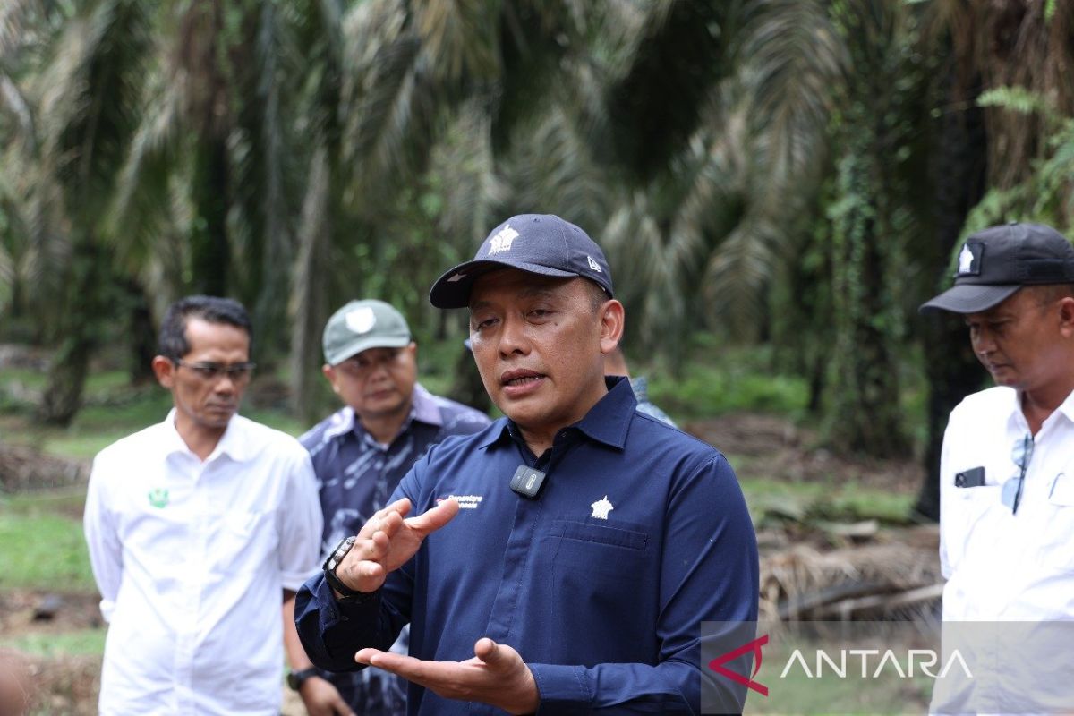 Empat KUD binaan PTPN IV raih sertifikasi RSPO