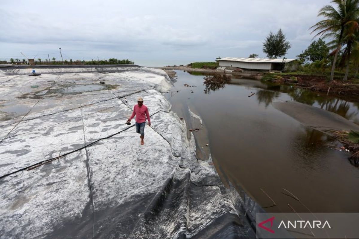 Petani di Aceh digaji negara selama pemulihan lahan sawah terdampak bencana