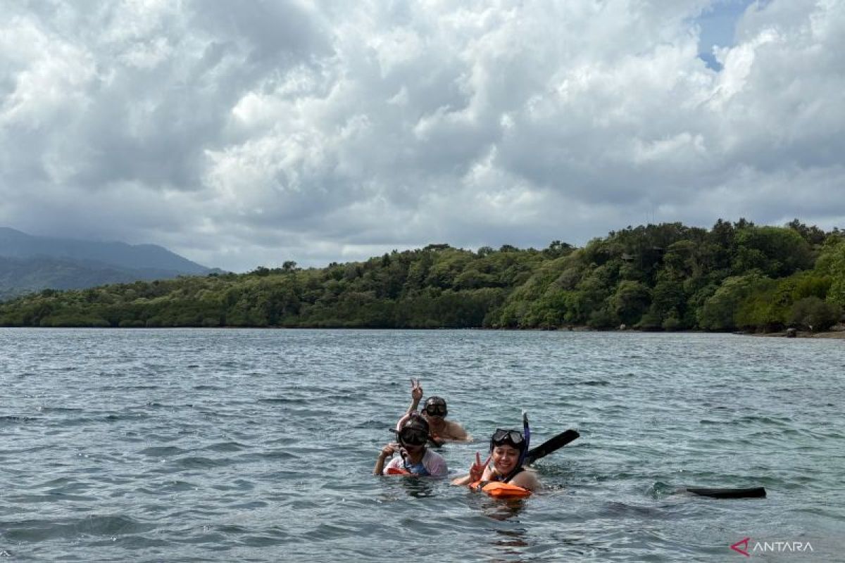 Kegiatan-kegiatan yang bisa dilakukan saat vakansi di Pulau Menjangan