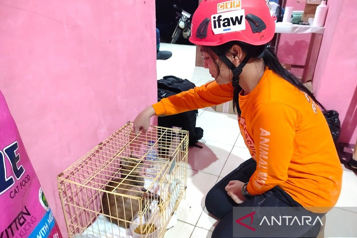 COP bantu penanganan satwa terdampak bencana hidrometeorologi di Agam