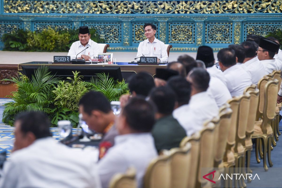 Prabowo tinjau kembali pemanfaatan lahan, tak ada HPH/IUP baru