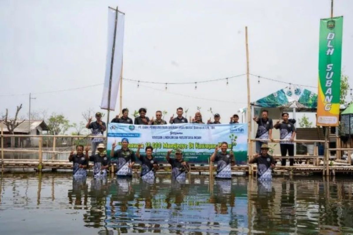 Bank bjb jaga ekosistem pesisir di Subang melalui penanaman 10.000 mangrove