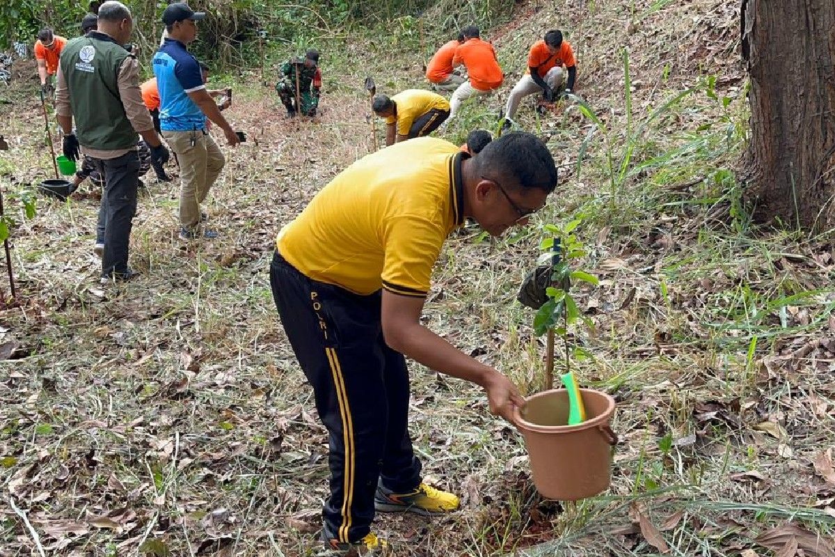 TNI-Polri dan warga Kota Jayapura menanam 400 pohon di kawasan Skyline