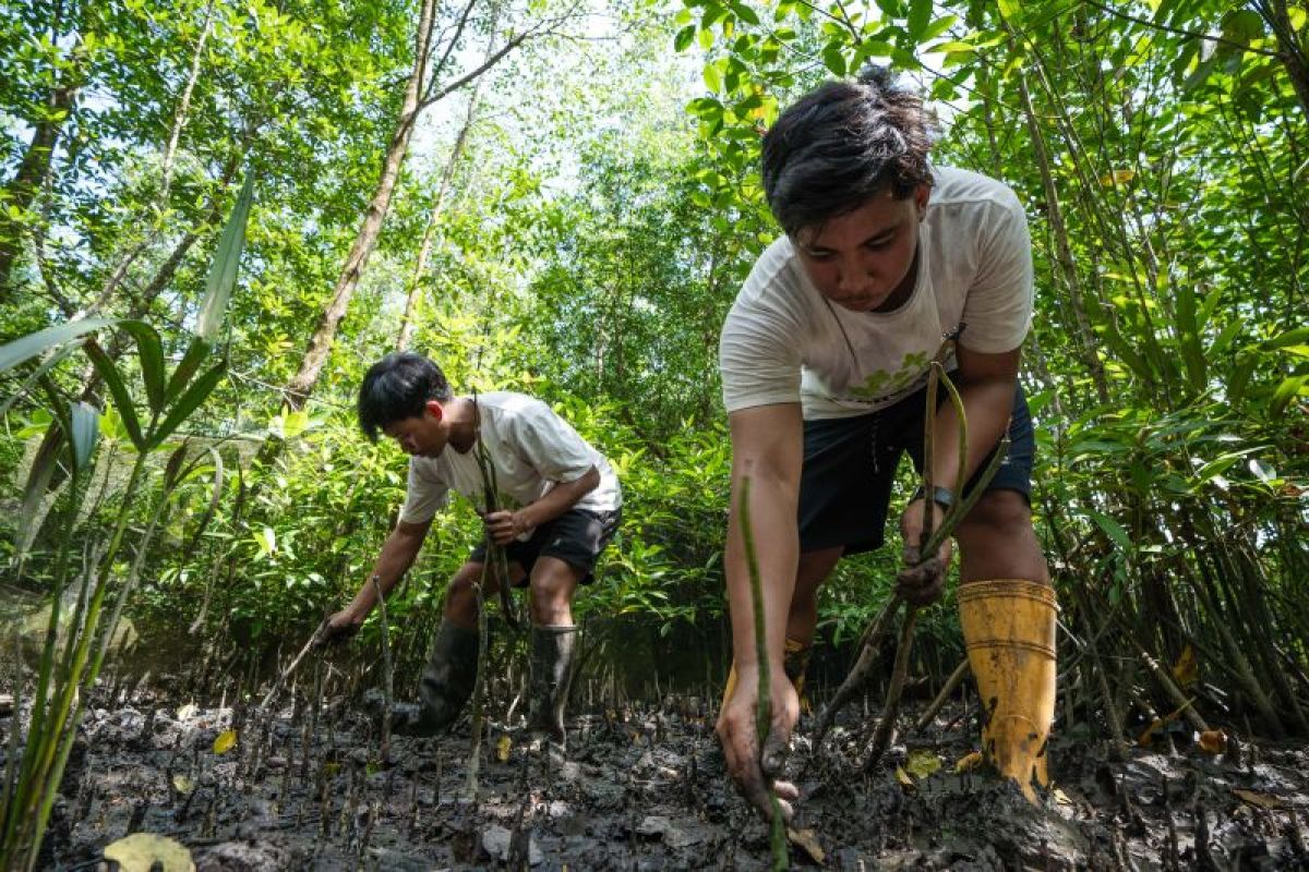 Perusahaan migas berupaya jaga ekosistem destinasi mangrove
