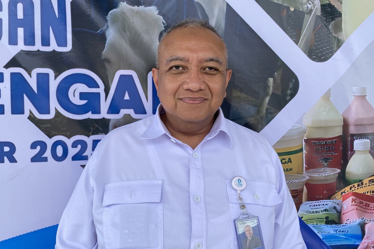 LPDB yakin penyaluran dana Rp1,6 T ke koperasi tercapai di akhir tahun