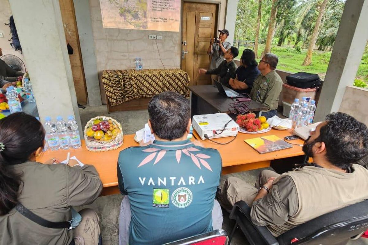 Kemenhut gandeng Vantara India cegah kematian gajah akibat EEHV