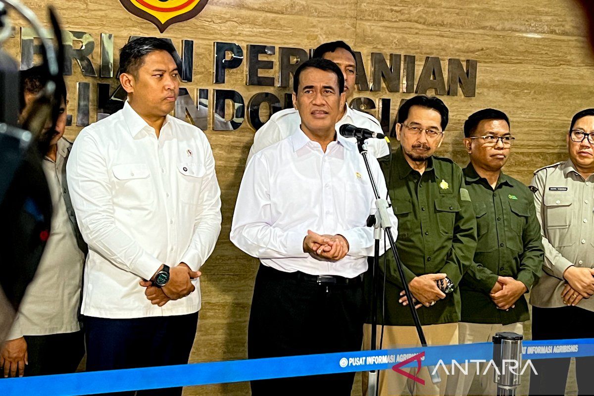 Amran fokus kejar produsen pelanggar HET, bukan pedagang kecil