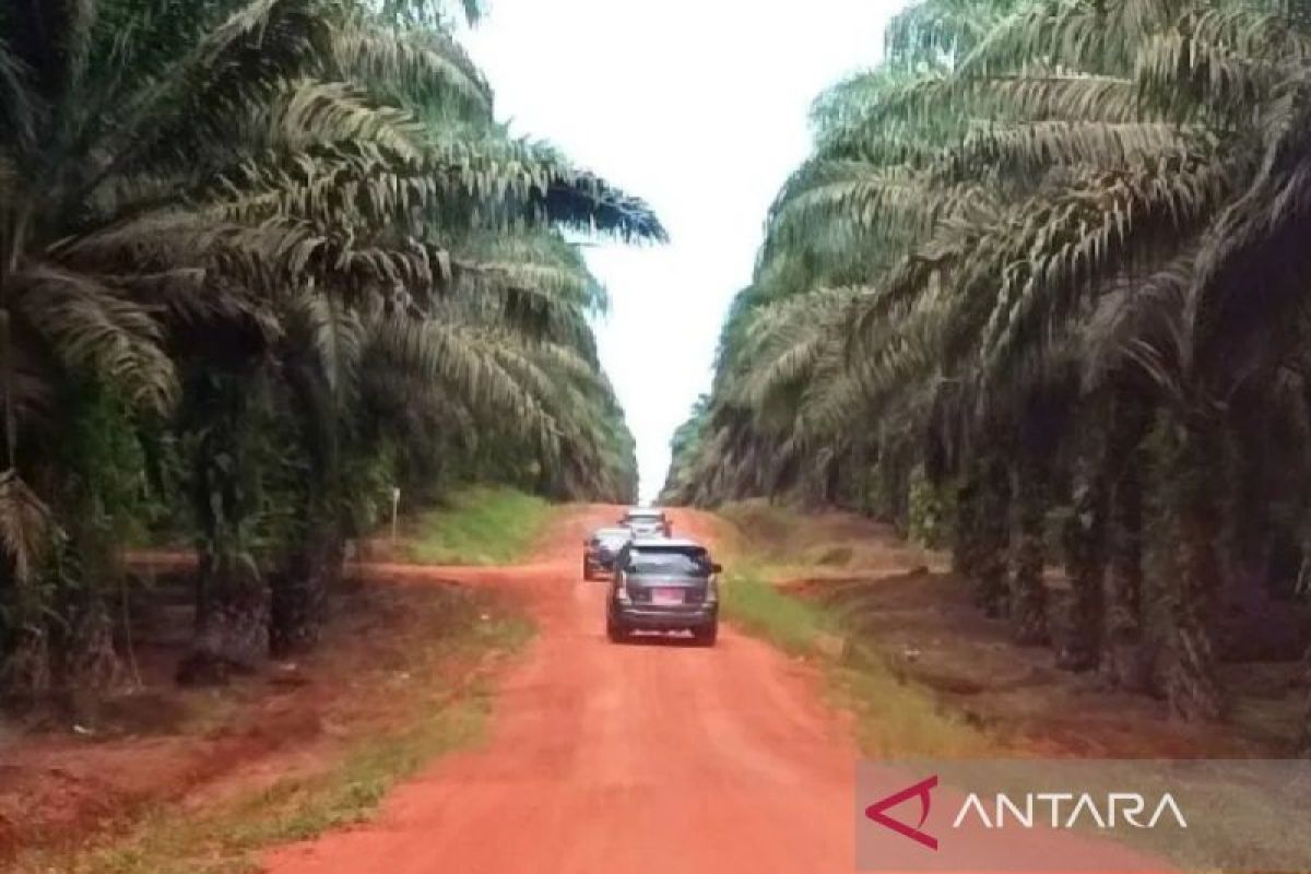 Polres Kotim jelaskan kronologis penembakan empat warga di Desa Kenyala