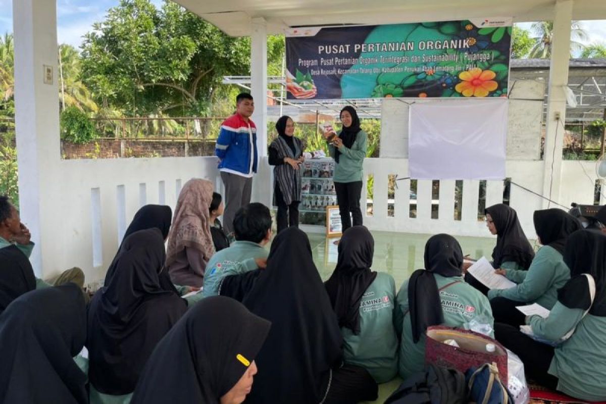 Nyala harapan dari Rejosari, petani naik kelas berkat pelatihan wirausaha Pertamina EP