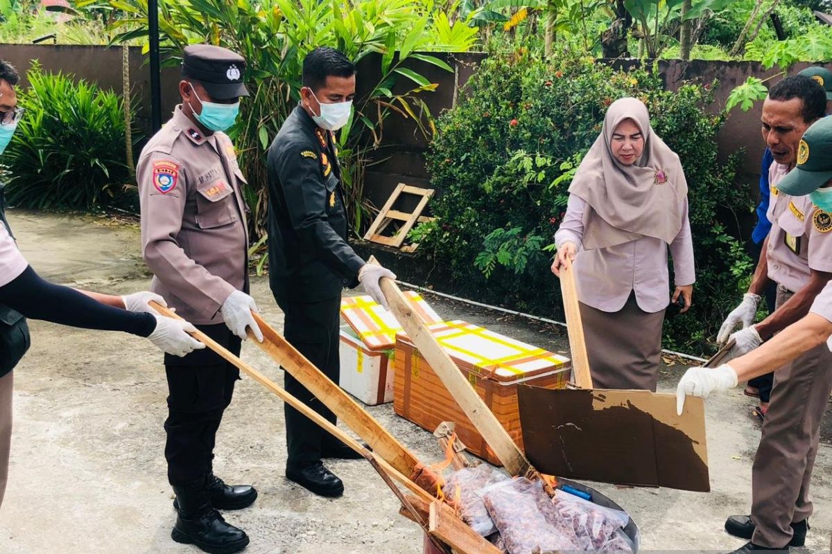 BKHIT Maluku musnahkan 42 kilogram daging anjing tanpa dokumen