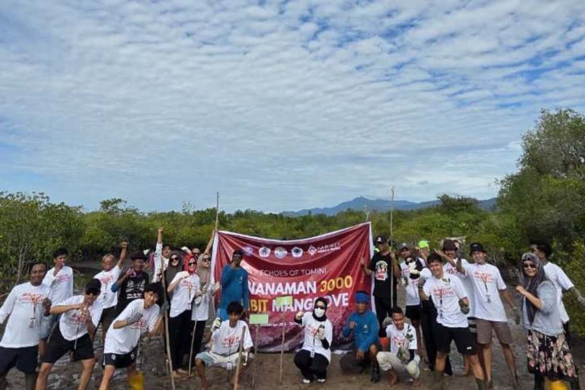 Mahasiswa UNG tanam tiga ribu bibit mangrove di Torosiaje