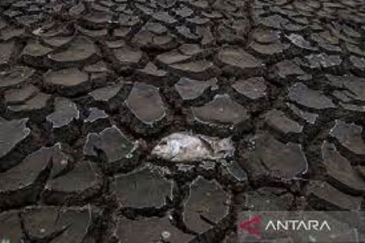 Kementerian Peringatkan Daerah Ancaman Krisis Air Mendatang