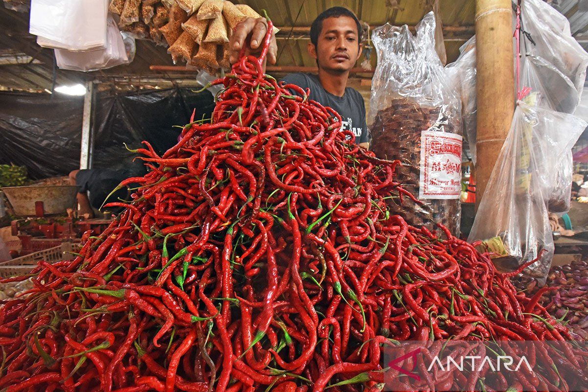 Natal, harga cabai rawit merah Rp73.050/kg, telur ayam Rp33.050/kg