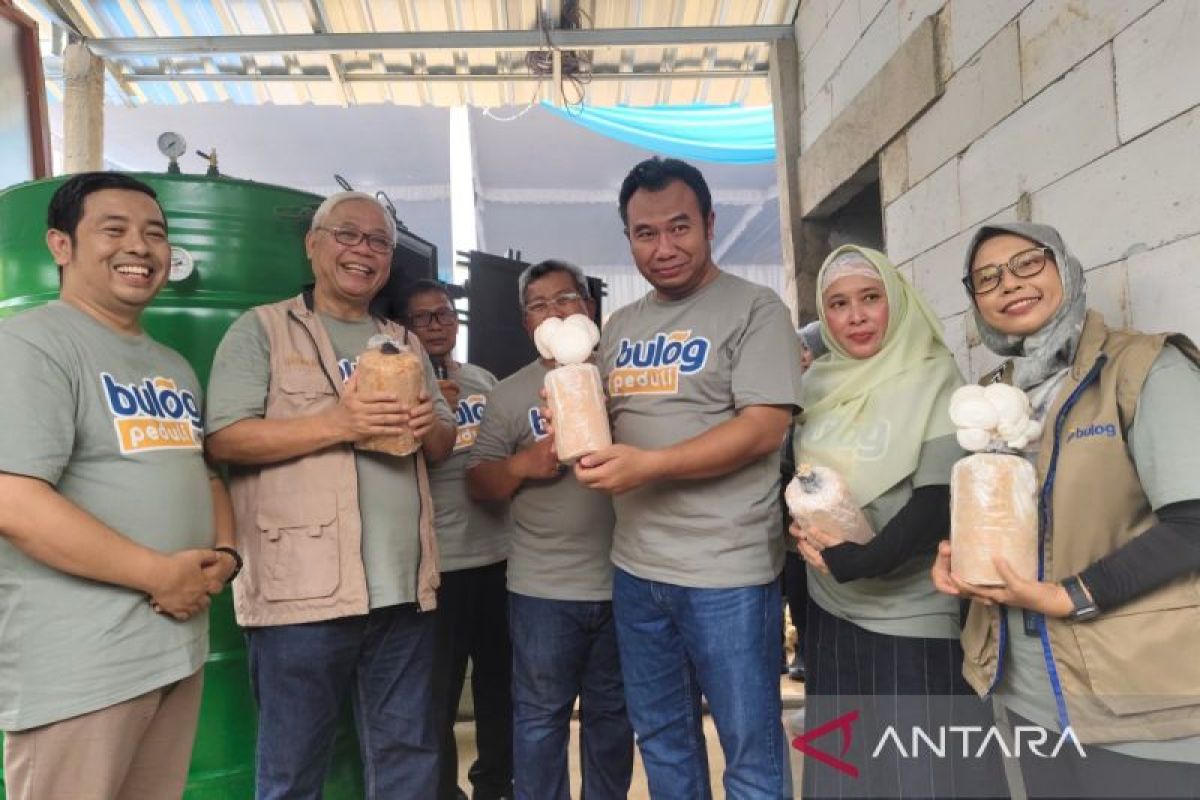 Bulog berdayakan masyarakat di Sragen melalui budidaya jamur tiram
