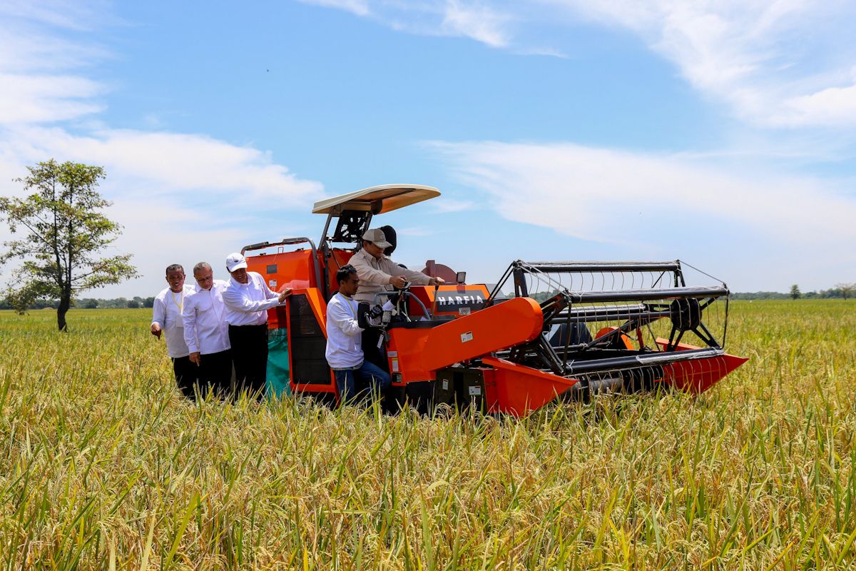 Akademisi: Transformasi kebijakan Mentan perkuat ekosistem pangan RI