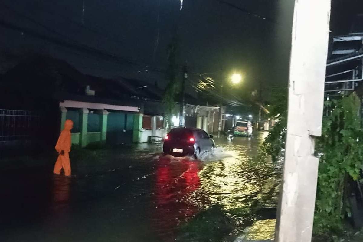 Waspada cuaca ekstrem di Makassar, ada pohon tumbang lukai warga