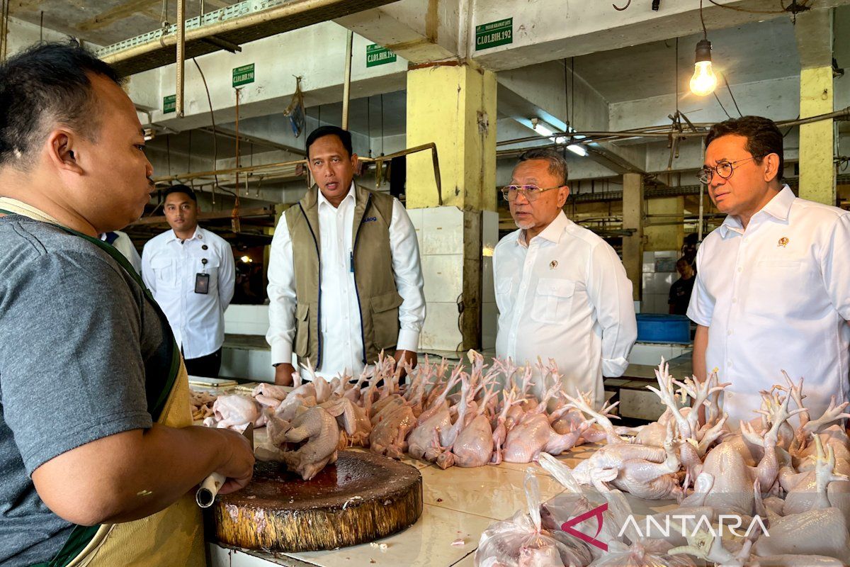 Zulhas-Busan dan Dirut Bulog tinjau harga pangan di Pasar Kramat Jati