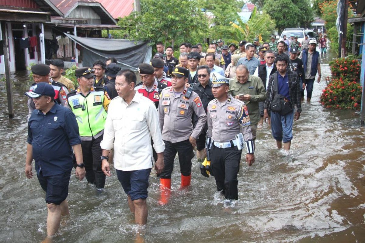 Menteri LH tinjau banjir Bincau Kalsel