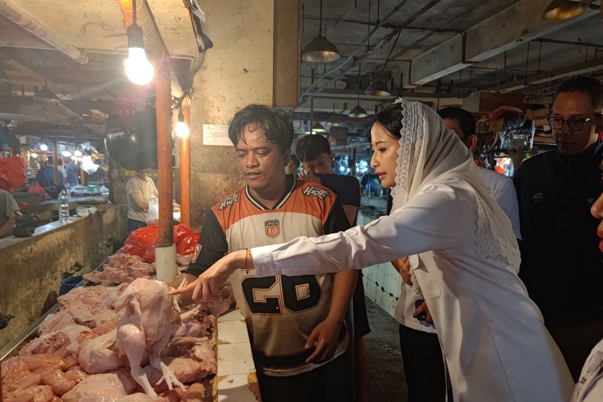Wamendag pantau harga komoditas di Pasar Senen jelang malam Tahun Baru
