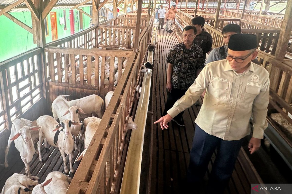 Legislator ajak generasi muda tak ragu berkreasi buka lapangan kerja