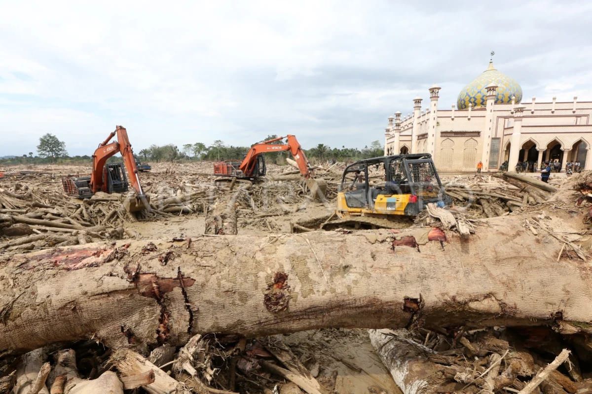 Ekonom: Pekerja migran bisa jadi opsi pemulihan korban banjir Sumatera