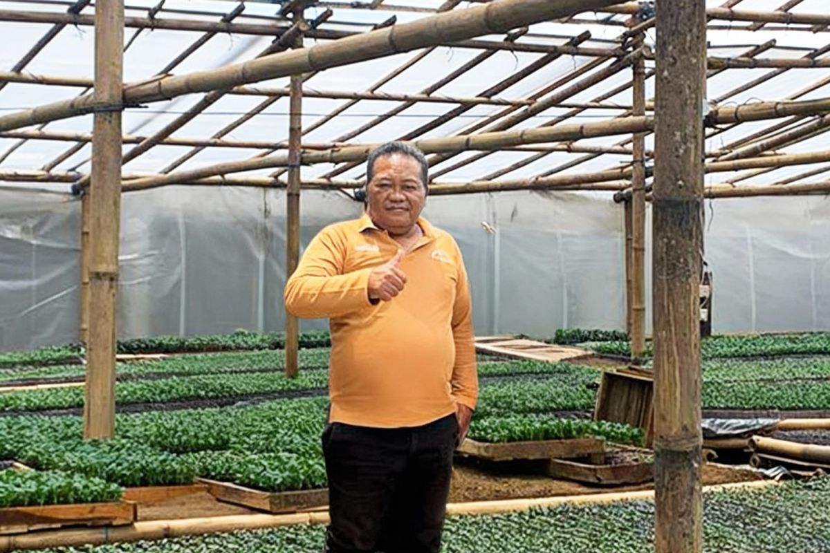 PNM komitmen berdayakan UMK melalui layanan modal mikro syariah