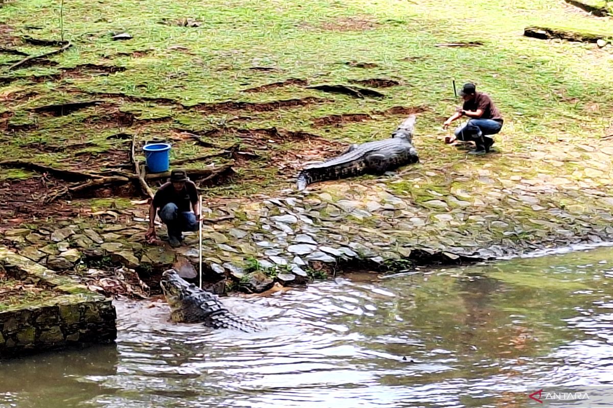 Puncak pengunjung Ragunan diprediksi capai 100 ribu pada 1 Januari