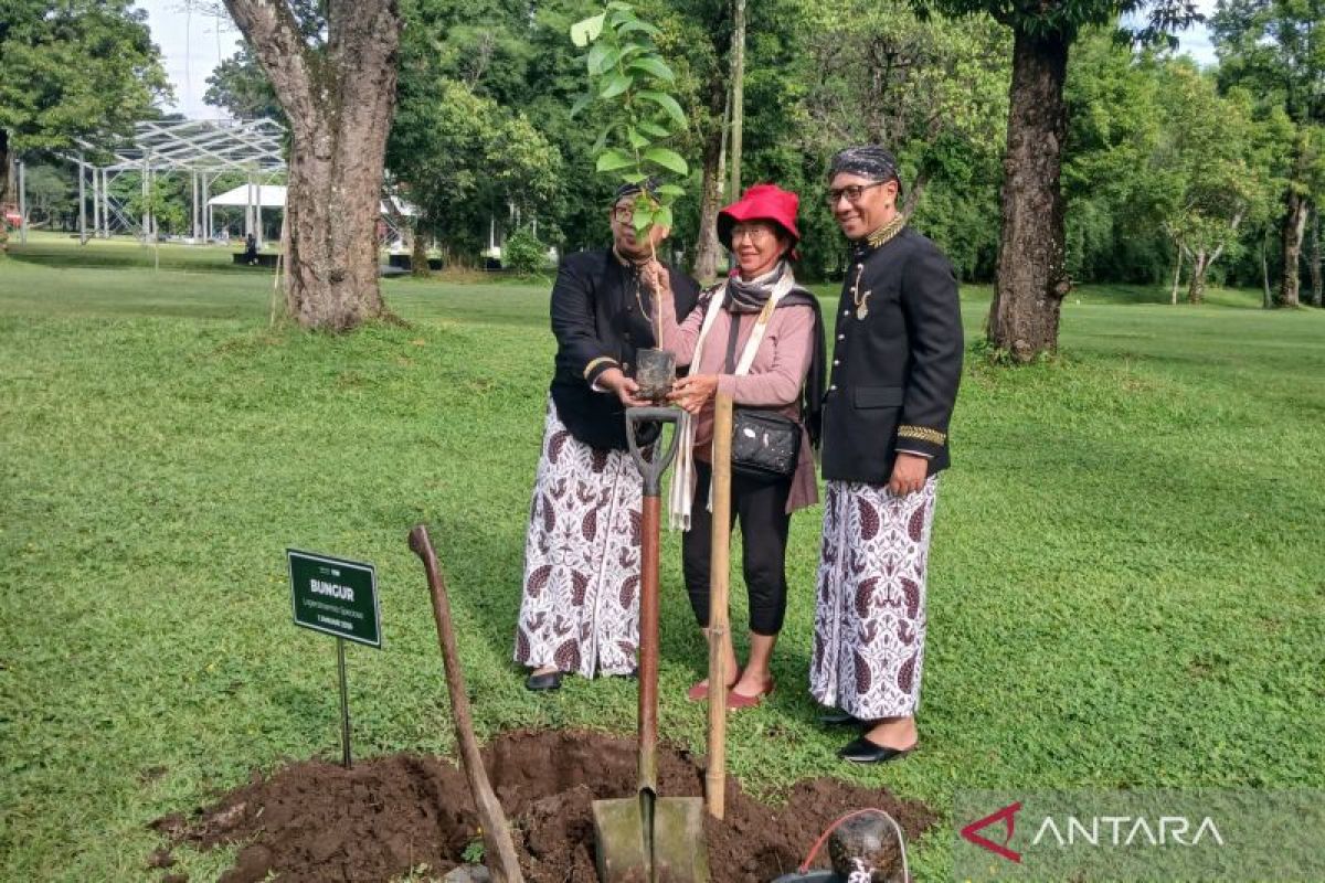 Pengunjung pertama Borobudur tahun 2026 dapat suvenir dan menanam pohon