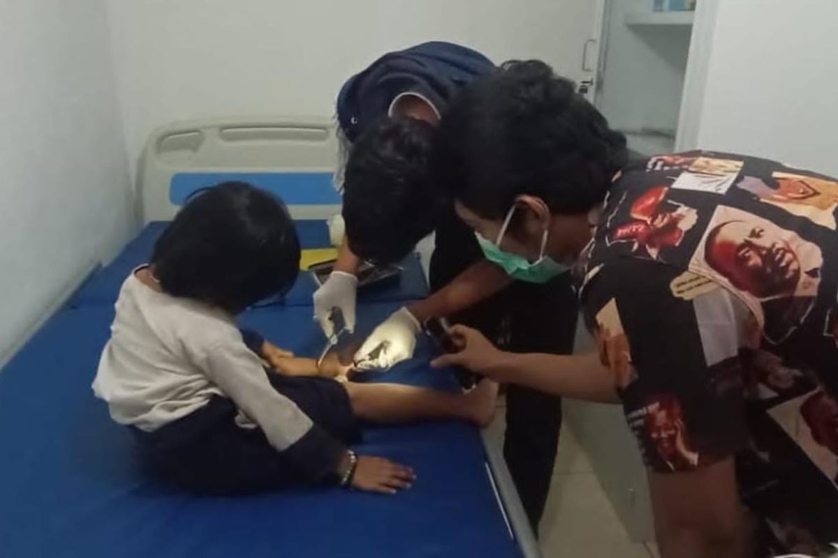 62 warga Badui digigit ular berbisa di 2025, dengan 11 orang meninggal