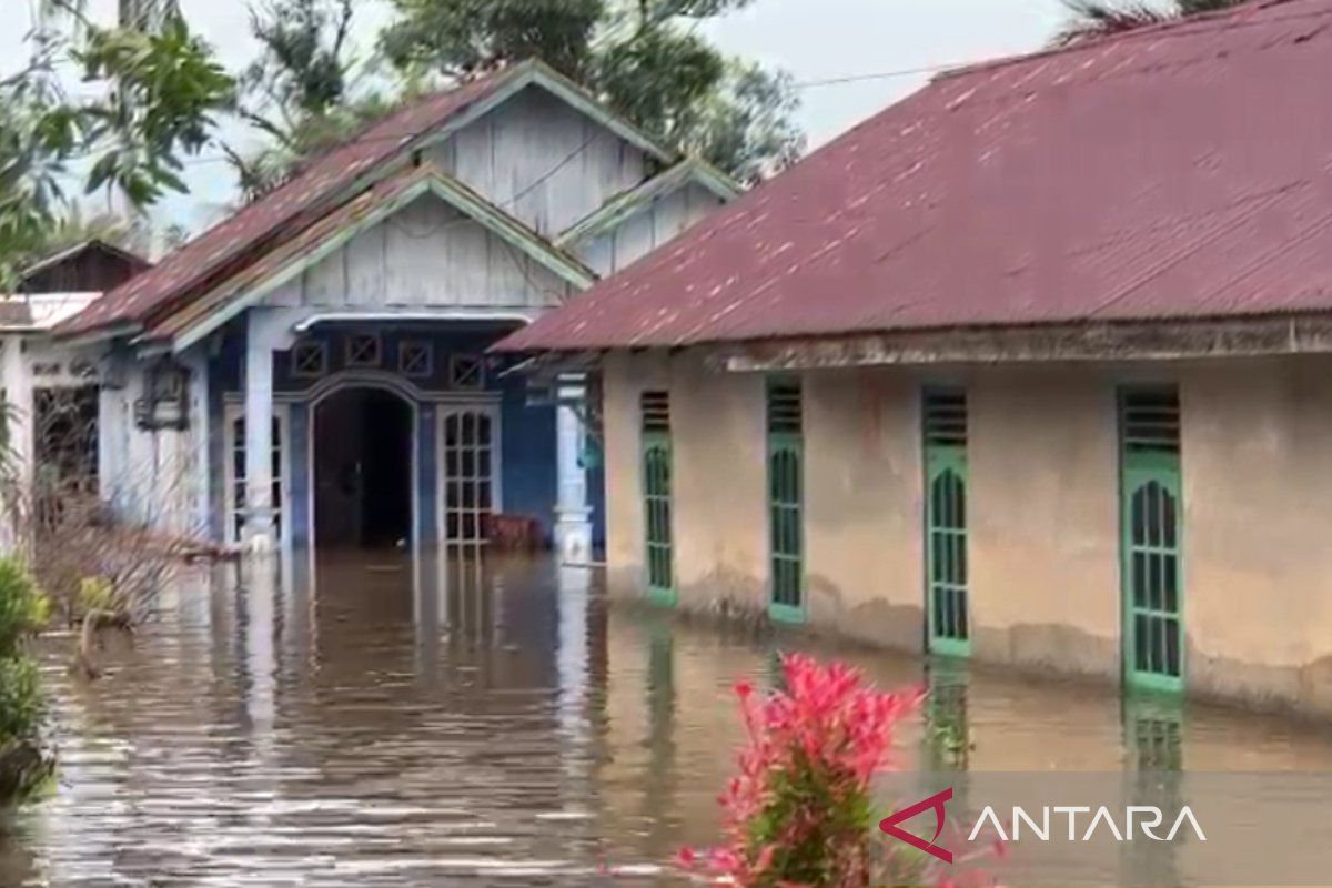 Hujan deras, 100 rumah lebih terendam banjir di Kota Bengkulu