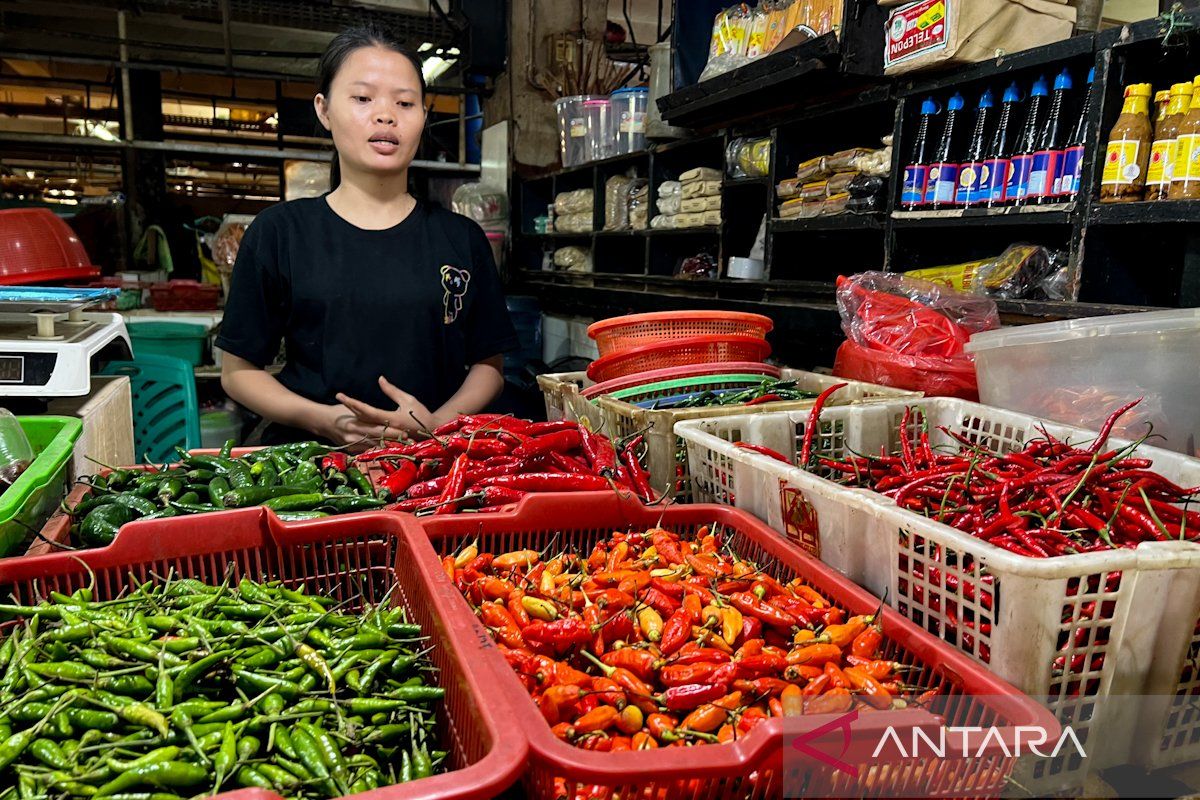 Bapanas: Harga cabai rawit Rp58.796/kg, bawang merah Rp39.173/kg