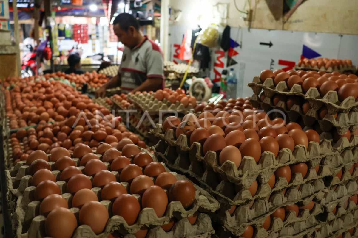 BPS: Inflasi Sulsel selama 2025 sebesar 2,84 persen di bawah nasional