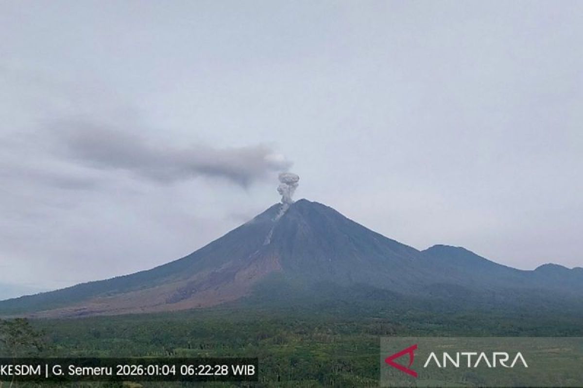 Gempa letusan masih mendominasi aktivitas Gunung Semeru