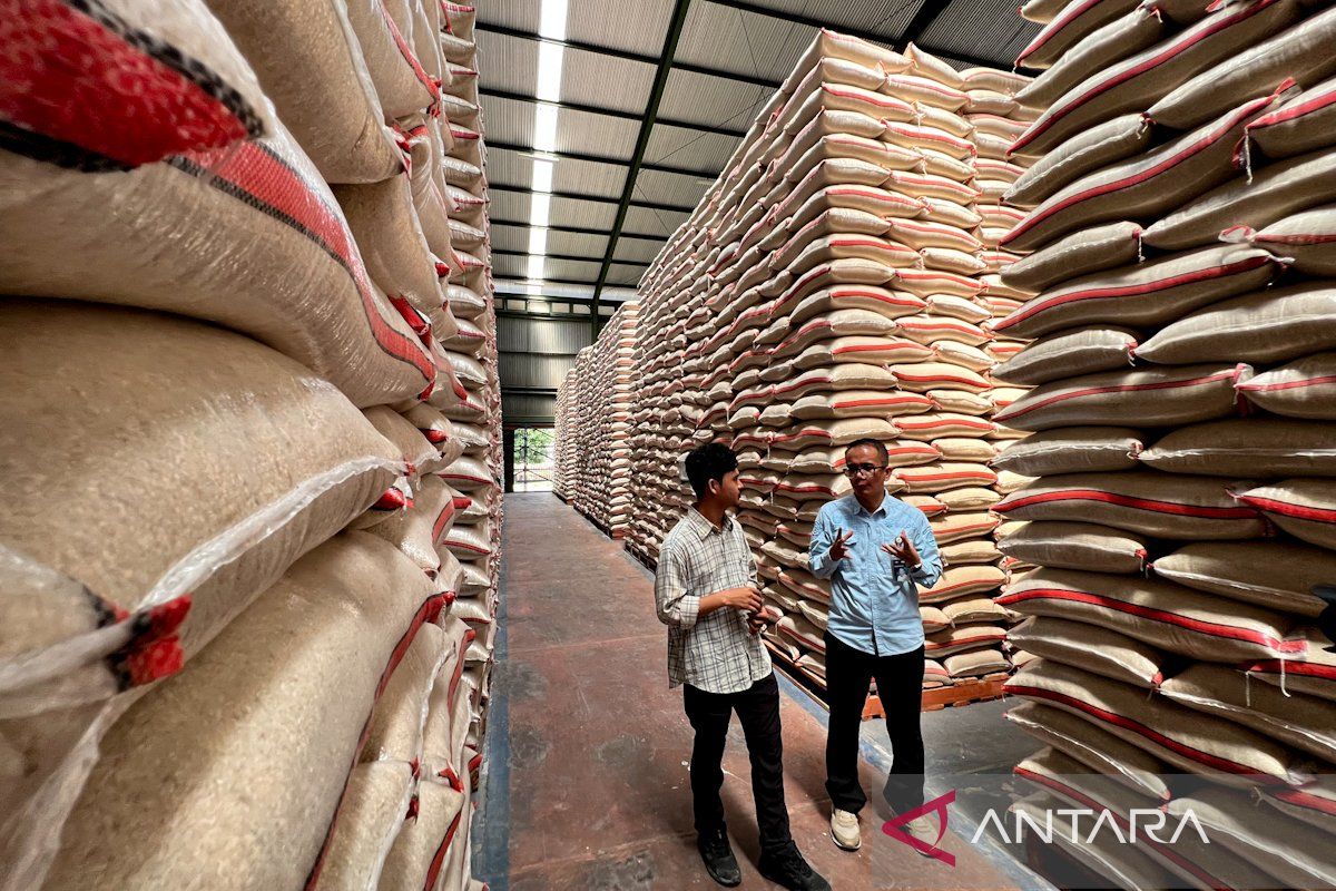 Bapanas ungkap tiga indikator RI raih swasembada beras