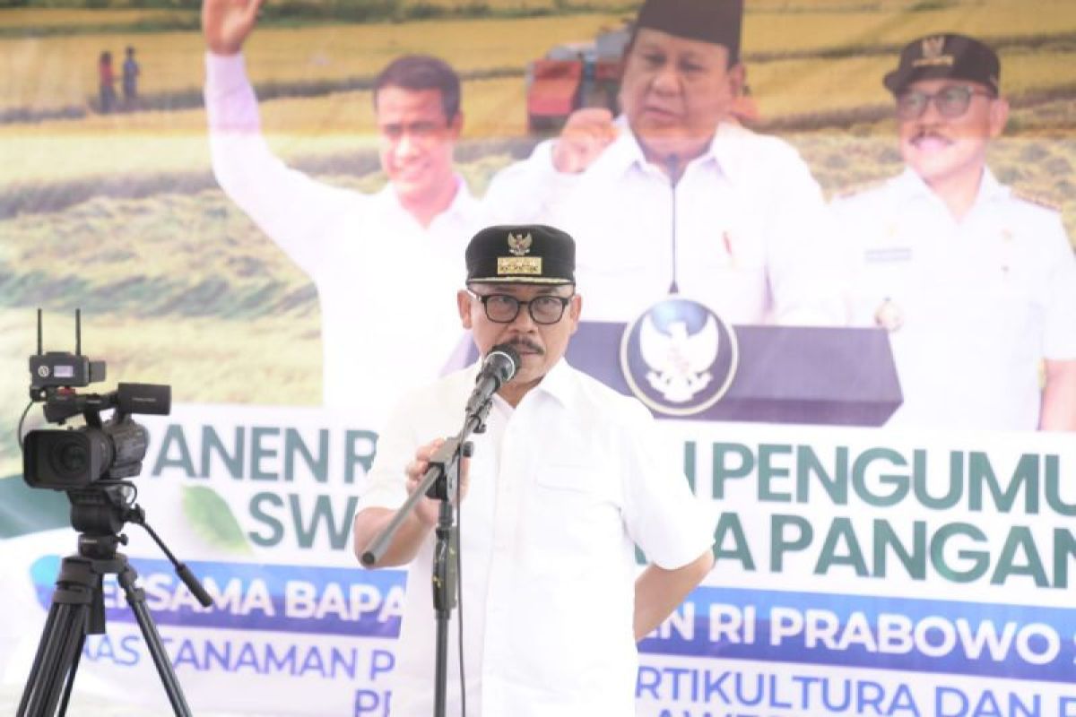 Sulbar surplus beras 70 ribu ton