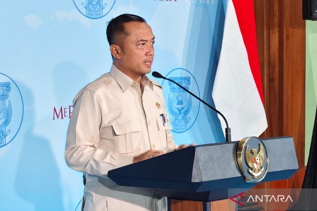 Prabowo siap umumkan swasembada beras 2025 saat panen raya