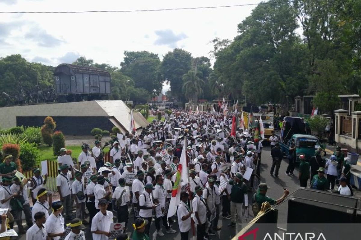 Kekecewaan yang Berlarut di Ijen: Kala Kebun Kopi Negara Rusak, Rasa Aman Pekerja Ikut Tercabut