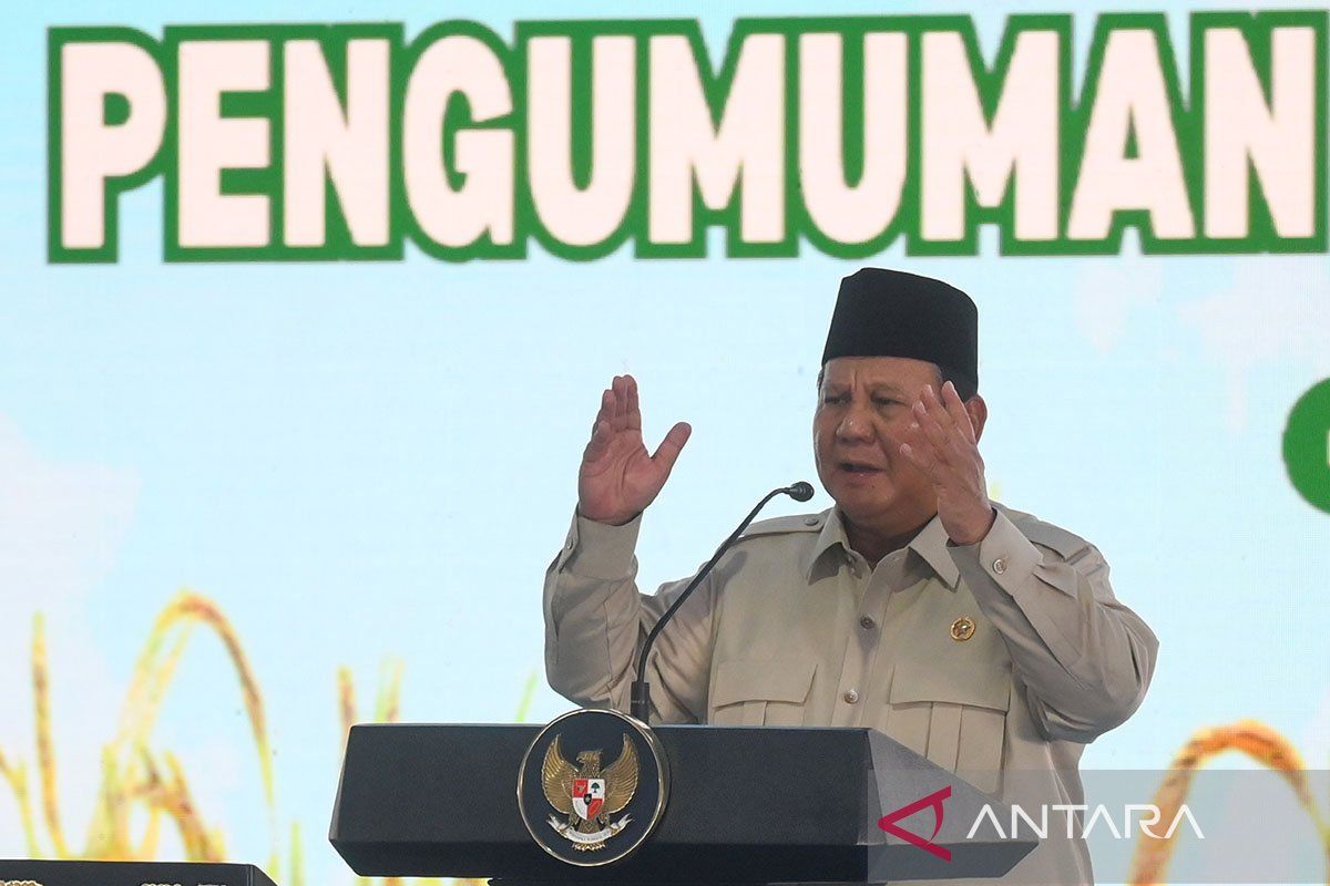 Presiden: Kejaksaan kembali akan sita 4-5 juta hektare lahan sawit