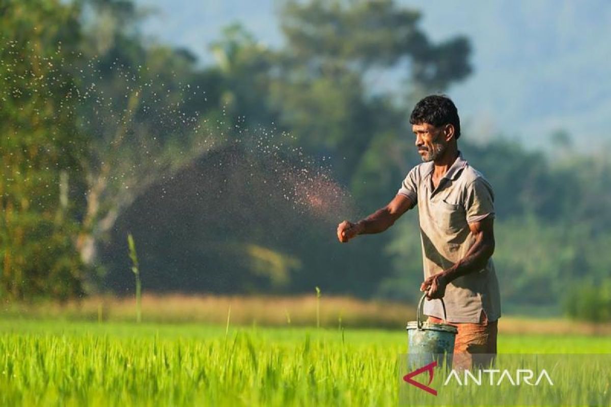 Pemkab Sukamara bantu petani optimalkan masa tanam okmar
