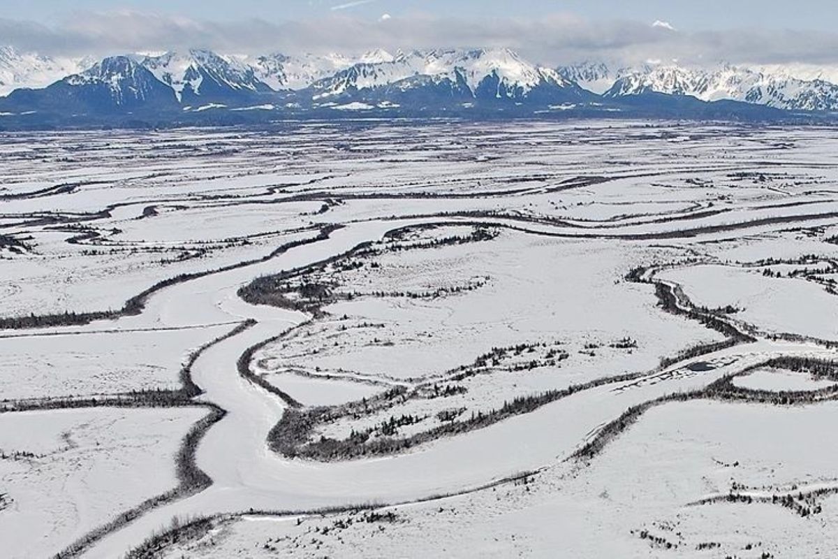 Pakar minta dunia serius menyikapi ancaman Trump soal Greenland